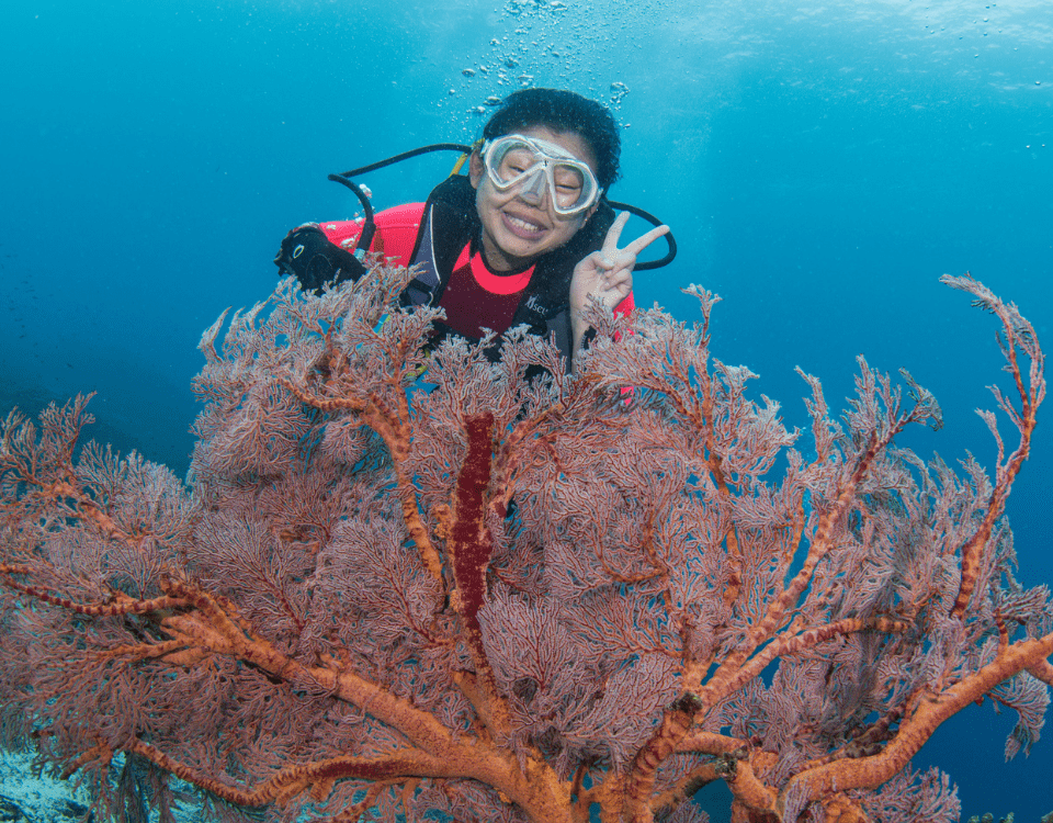 Diving